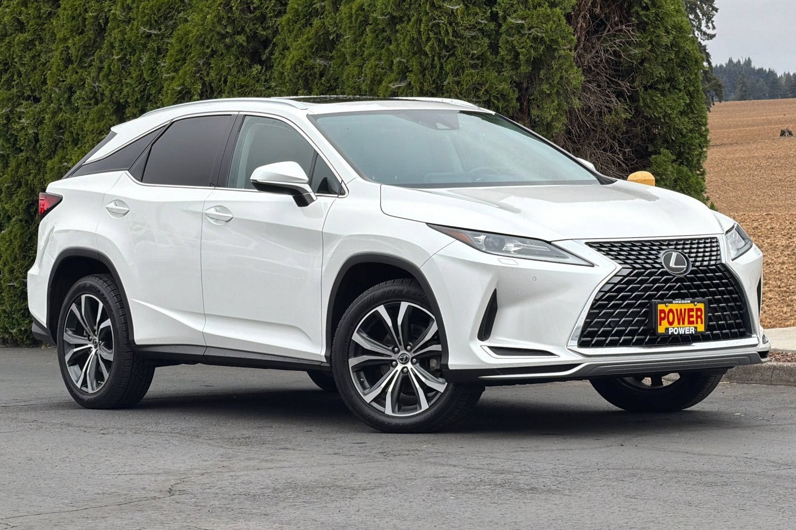 2020 Lexus RX RX 350