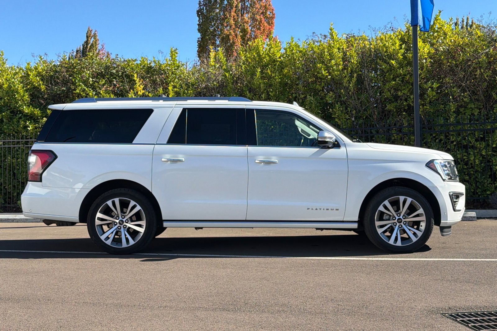 2020 Ford Expedition Max Platinum