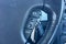 2005 Ford Thunderbird Base