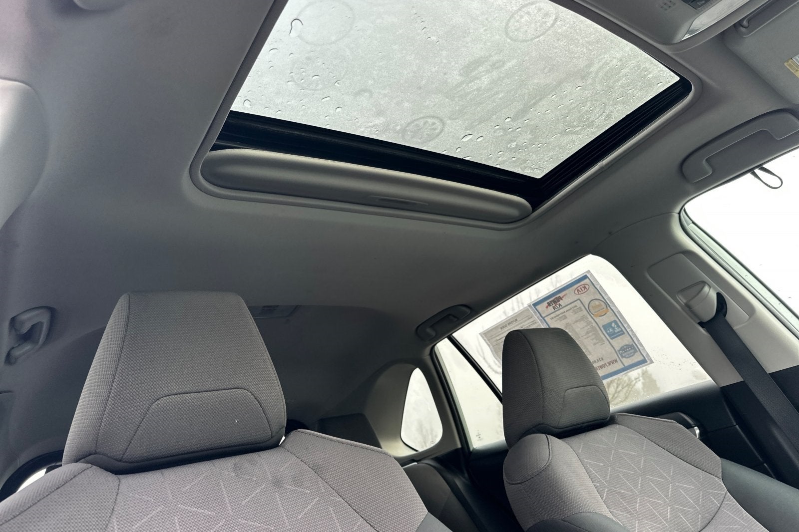 2019 Toyota RAV4 Hybrid XLE